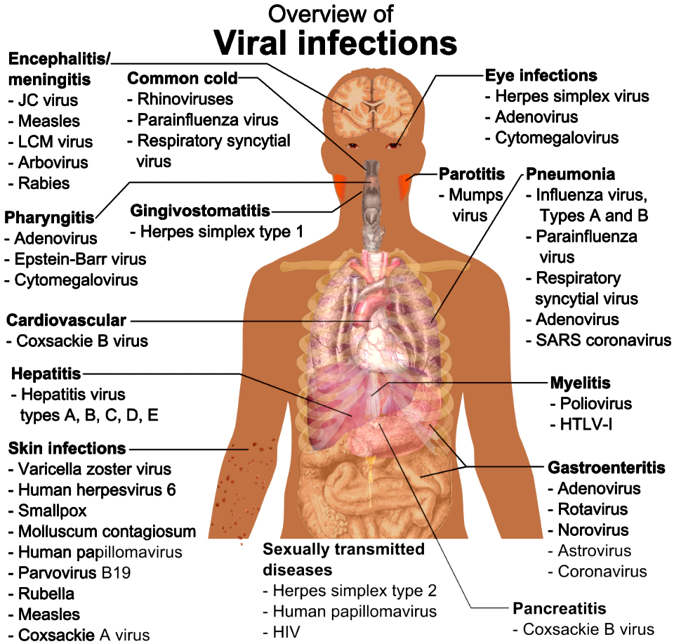 Viral infections and involved species