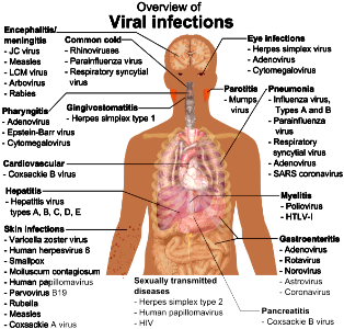 Viral infections and involved species