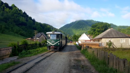 Viseu de Sus tourist train