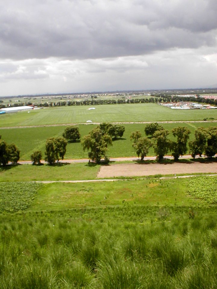 Vista desde el Cerro del Chapulín