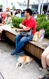 Visitor with Dog Rest in Expo Doom Court 20150829