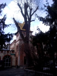 Vinnytsia Pushkina Str 40 photo3