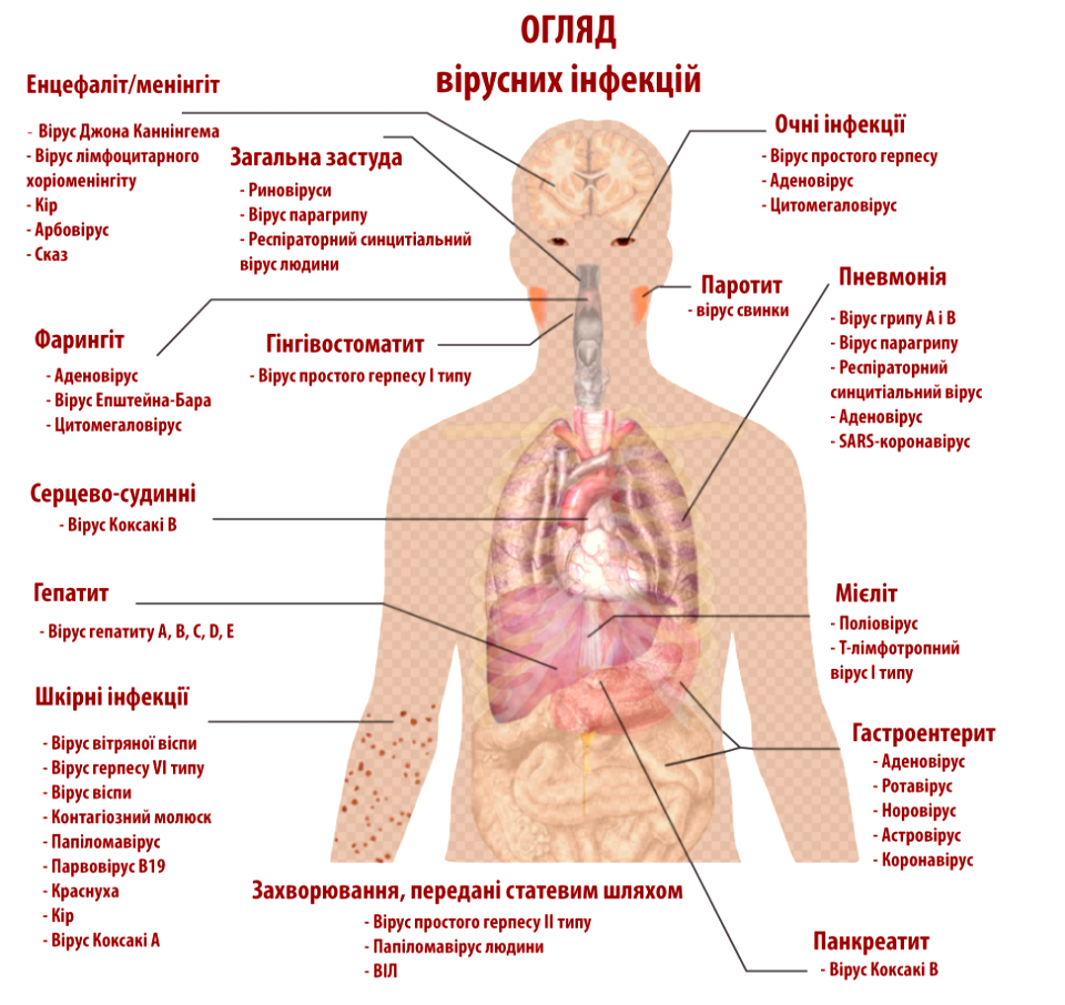 Viral infections UA-corr