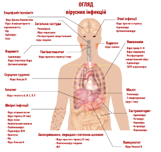 Viral infections UA-corr