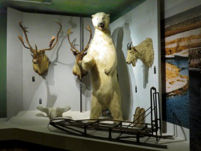 Warszawa Muzeum Łowiectwa i Jeździectwa 06