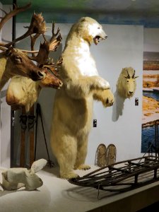 Warszawa Muzeum Łowiectwa i Jeździectwa 08