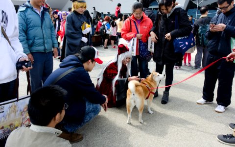 Visitors and Cosplayers around Shiba Inu in FF25 20150201
