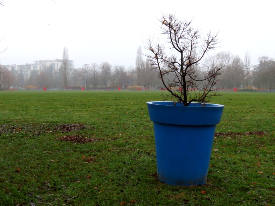Warszawa park Szymańskiego 06