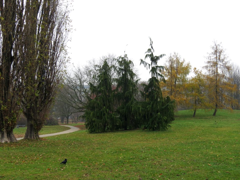 Warszawa Pole Mokotowskie 03