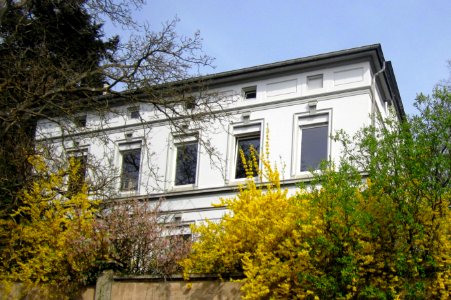 Vor dem Leetor 7