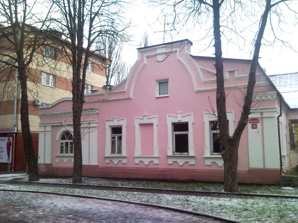 Vinnytsia Grushevskogo Str 38 photo2