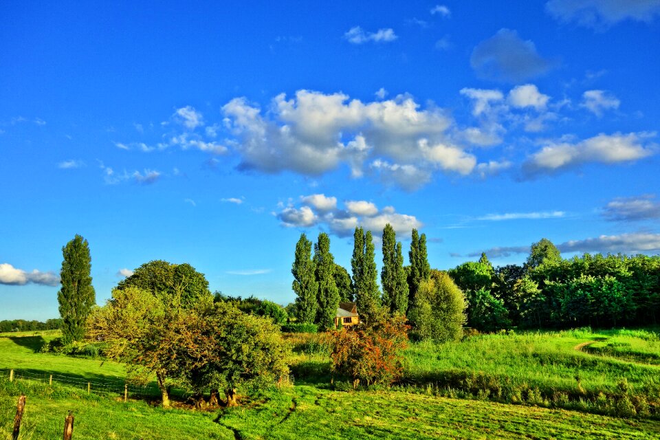Trees farmhouse blue skies