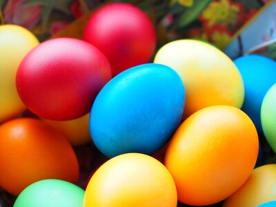 Happy easter easter egg painting colored photo
