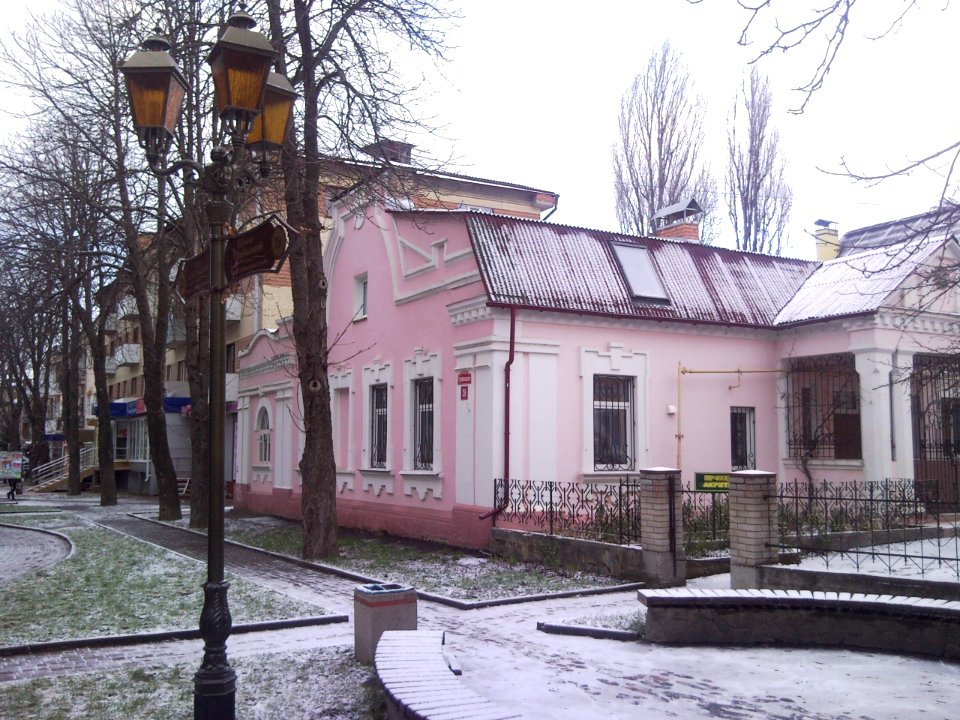 Vinnytsia Grushevskogo Str 38 photo1
