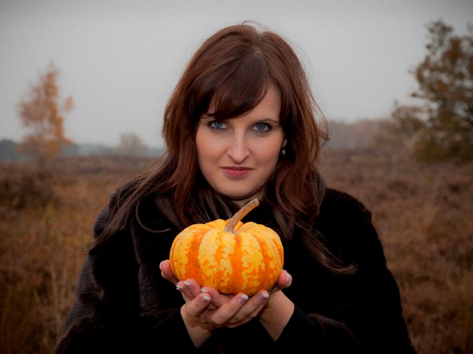 Pumpkins autumn halloween gourd photo