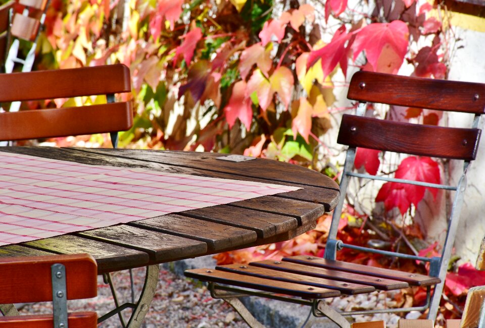 Sunny chairs dining tables