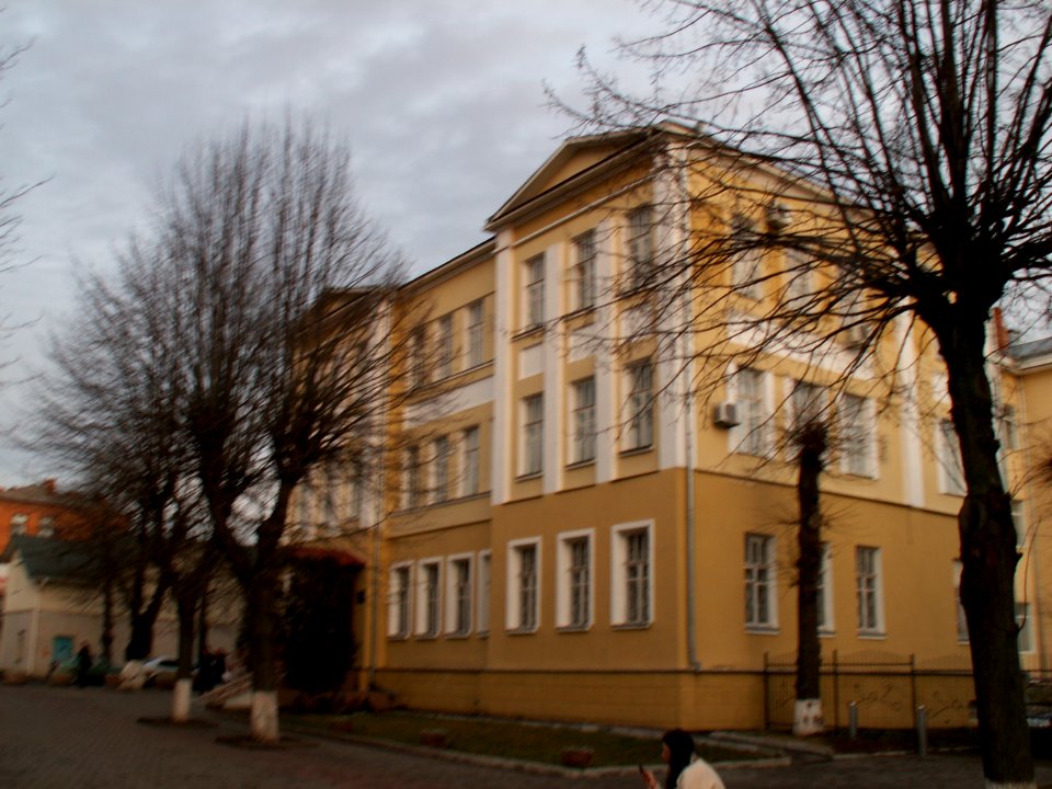 Vinnytsia Kozytskogo Str 33 photo2