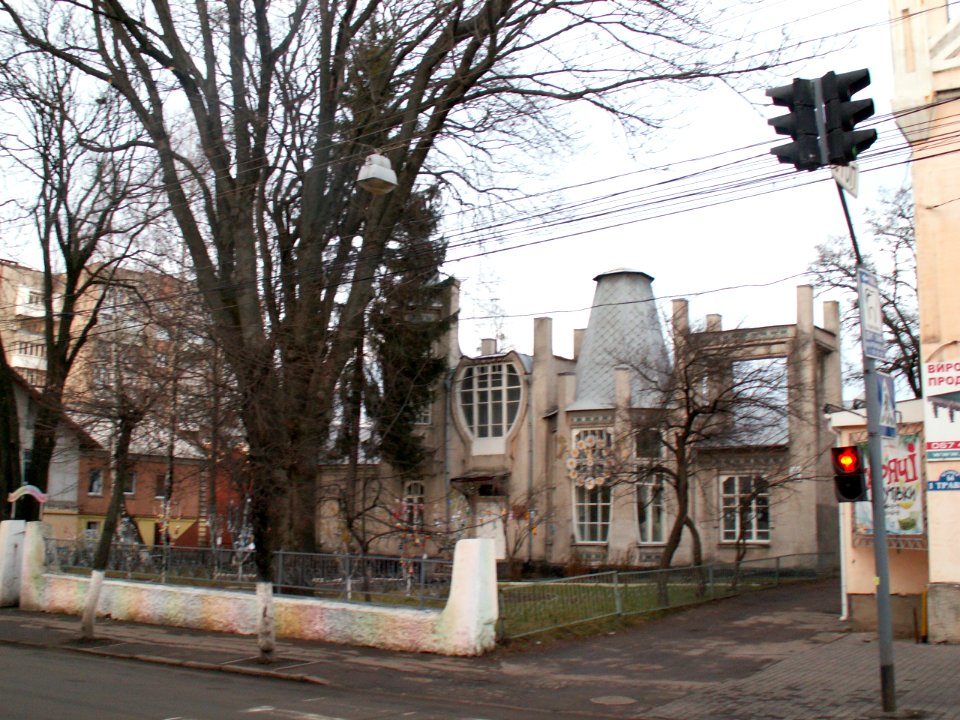 Vinnytsia Pershotravneva Str 66 photo2