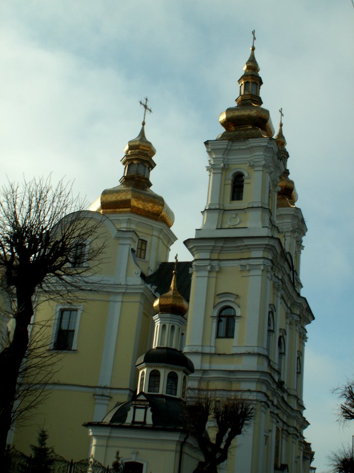 Vinnytsia Soborna Str Cathedral photo1