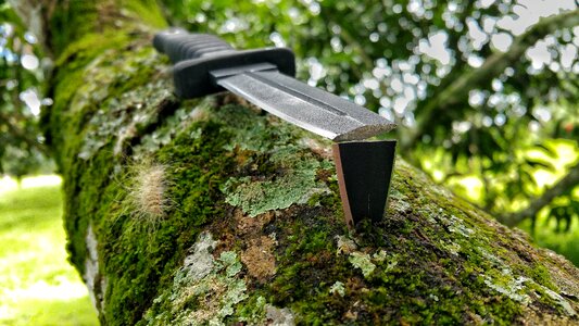 Black boot knife moss