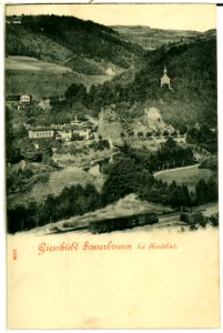01106-Gieshübel-1899-Sauerbrunn - Blick in den Ort-Brück & Sohn Kunstverlag