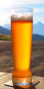 Wheat beer glass drink thirst quencher photo