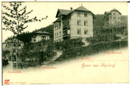 01139-Kipsdorf-1899-Gästehäuser-Brück & Sohn Kunstverlag