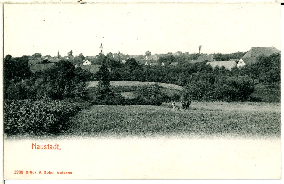 01236-Naustadt-1899-Blick auf Naustadt-Brück & Sohn Kunstverlag