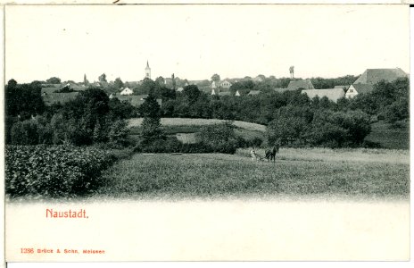 01236-Naustadt-1899-Blick auf Naustadt-Brück & Sohn Kunstverlag