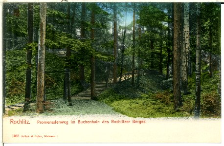 01252-Rochlitz-1899-Promenadenweg im Buchenhain-Brück & Sohn Kunstverlag