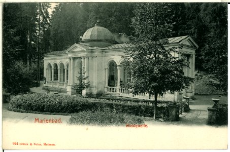 00924-Marienbad-1899-Waldquelle-Brück & Sohn Kunstverlag