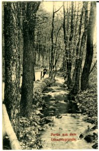 01197-Radebeul-1899-Lößnitzgrund-Brück & Sohn Kunstverlag