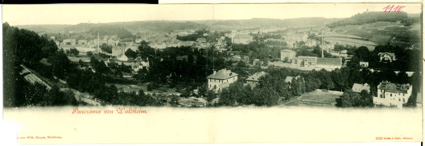 01110-Waldheim-1899-Blick über Waldheim, Panorama-Brück & Sohn Kunstverlag