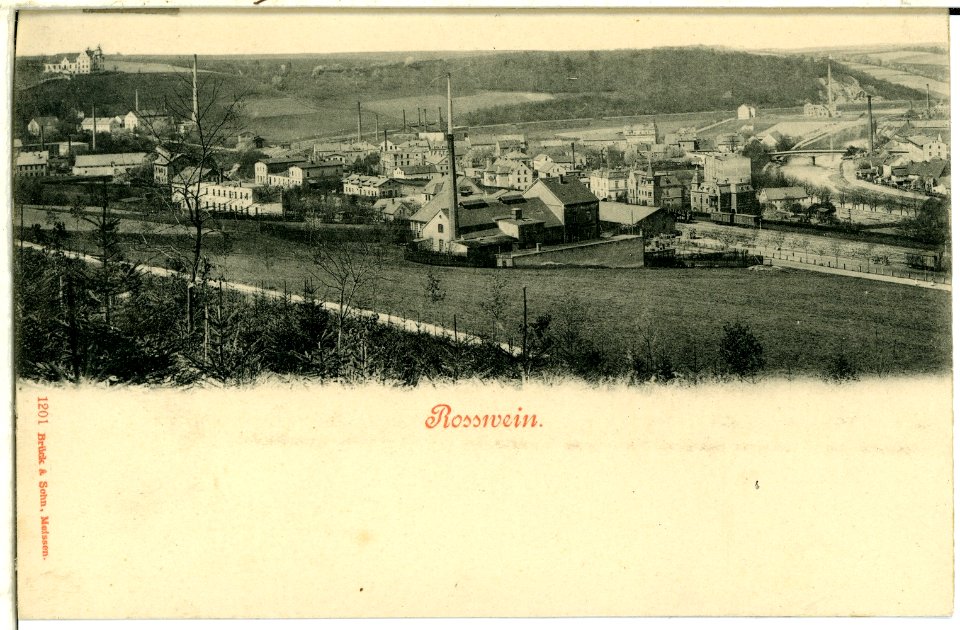 01201-Roßwein-1899-Blick auf Roßwein-Brück & Sohn Kunstverlag
