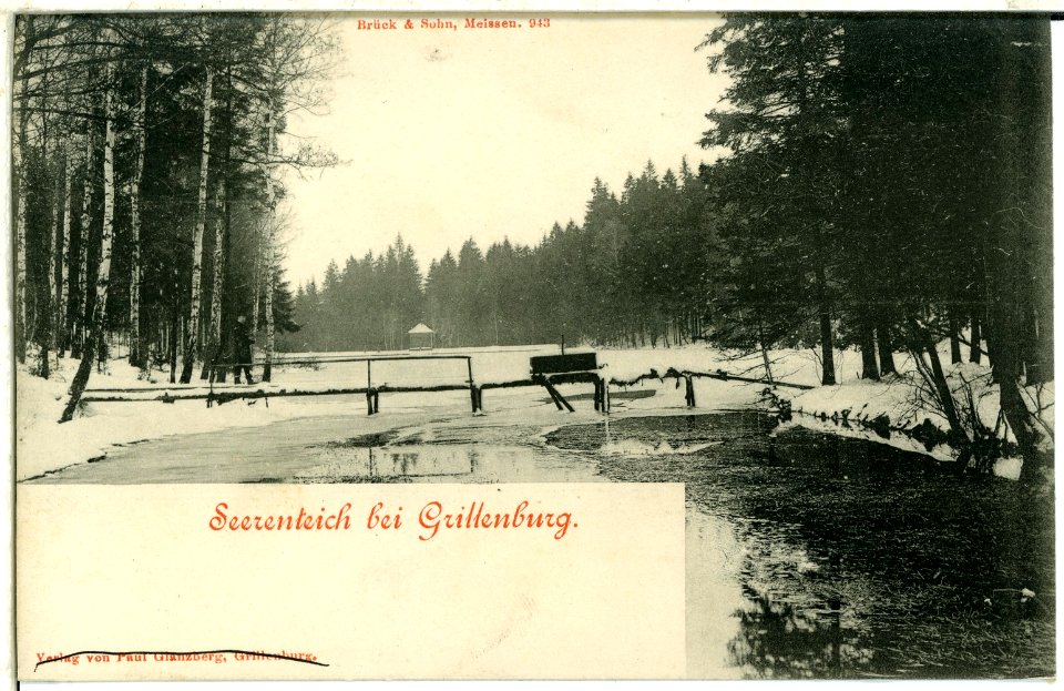 00943-Grillenburg-1899-Seerenteich-Brück & Sohn Kunstverlag