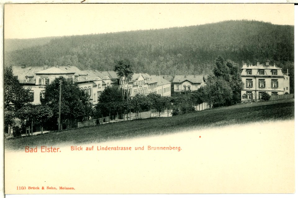 01160-Bad Elster-1899-Lindenstraße und Brunnenberg-Brück & Sohn Kunstverlag