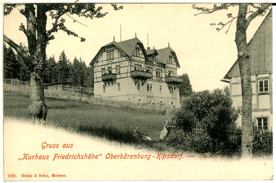 01181-Oberbärenburg-1899-Kurhaus Friedrichshöhe-Brück & Sohn Kunstverlag