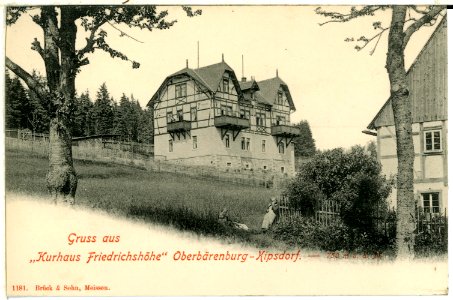 01181-Oberbärenburg-1899-Kurhaus Friedrichshöhe-Brück & Sohn Kunstverlag
