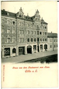 00955-Meißen-1899-Cölln, Restaurant zum Roß-Brück & Sohn Kunstverlag