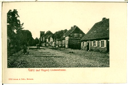 01013-Garz-Rügen-1899-Lindenstraße-Brück & Sohn Kunstverlag