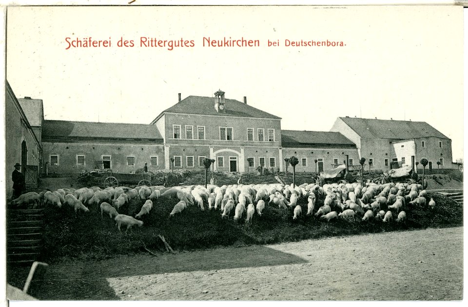 01071-Neukirchen-1899-Schäferei des Rittergutes-Brück & Sohn Kunstverlag