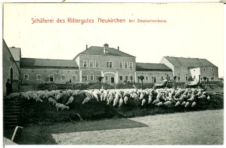 01071-Neukirchen-1899-Schäferei des Rittergutes-Brück & Sohn Kunstverlag
