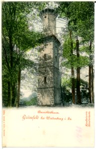 01424-Grünfeld-1899-Aussichtsturm-Brück & Sohn Kunstverlag