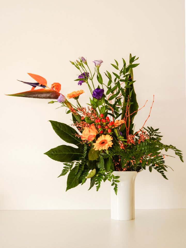 Rose orange gerbera orange still life