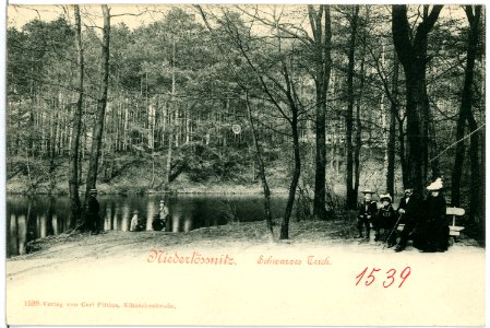 01539-Niederlößnitz-1901-Schwarzes Teich-Brück & Sohn Kunstverlag