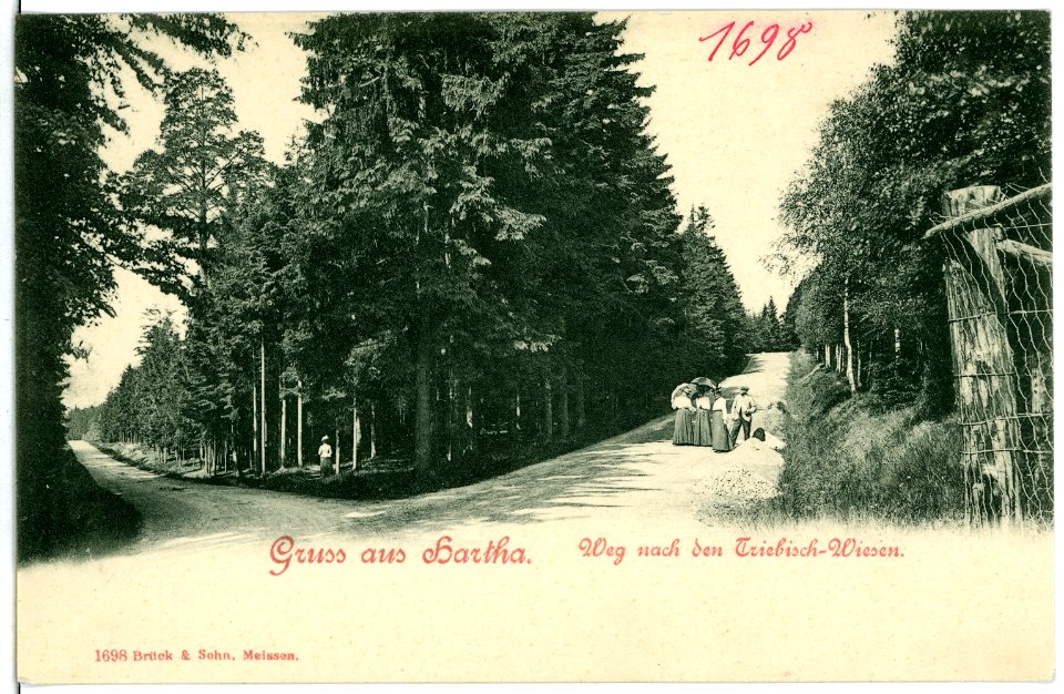 01698-Hartha-1901-Weg auf den Triebischwiesen-Brück & Sohn Kunstverlag