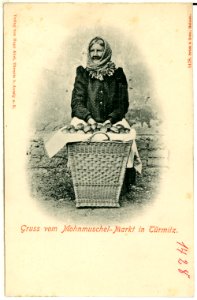 01428-Türmitz-1900-Gruß vom Mohnmuschel-Markt-Brück & Sohn Kunstverlag