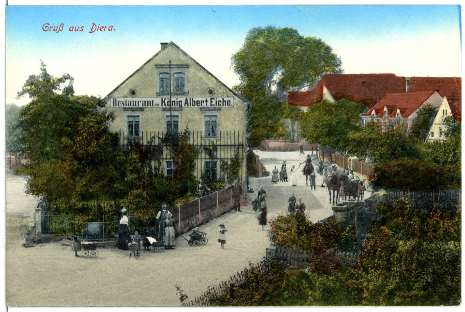 01677-Diera-1901-Restaurant zur König Albert Eiche-Brück & Sohn Kunstverlag