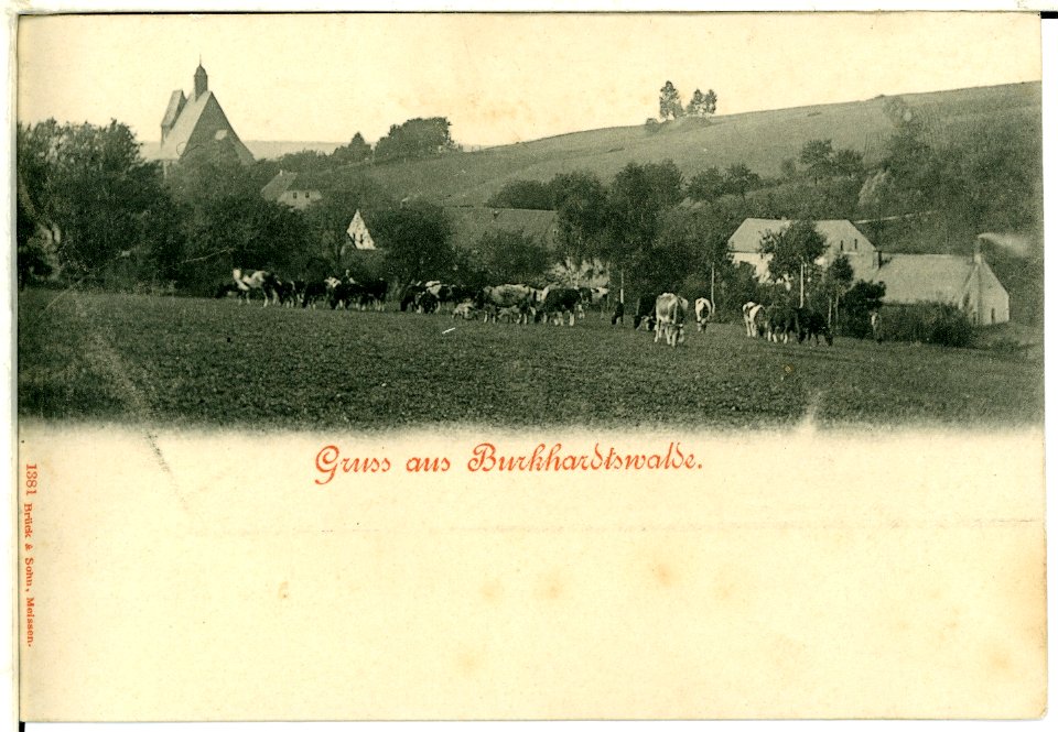 01381-Burkhardtswalde-1899-Ansicht-Brück & Sohn Kunstverlag