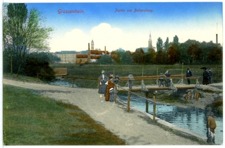 01598-Großenhain-1901-Partie am Bobersberg-Brück & Sohn Kunstverlag